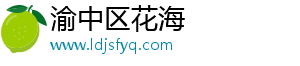 渝中区花海